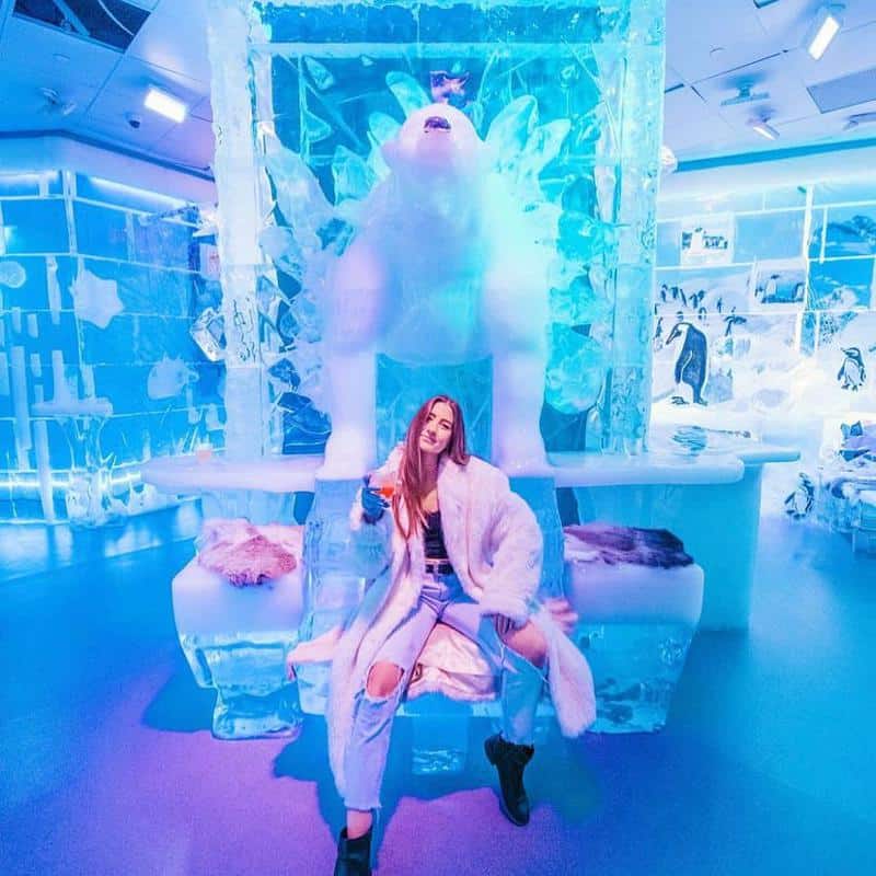 Minus 5 Ice Bar 2