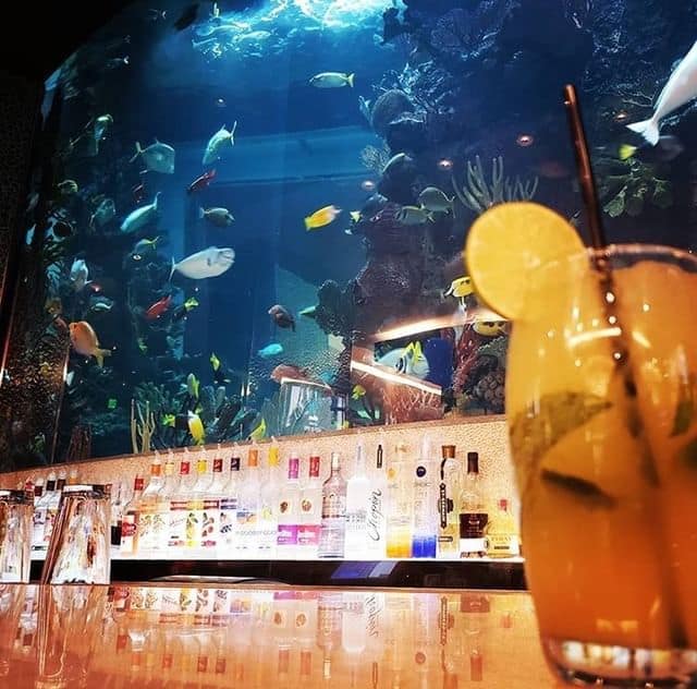 Chart House Restaurant Aquarium