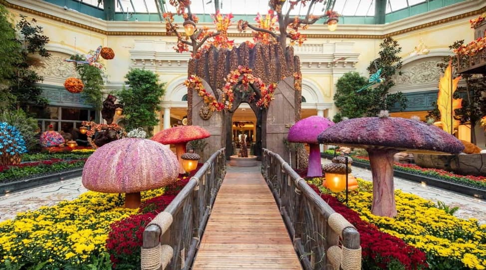 Botanical Gardens and Bellagio Conservatory