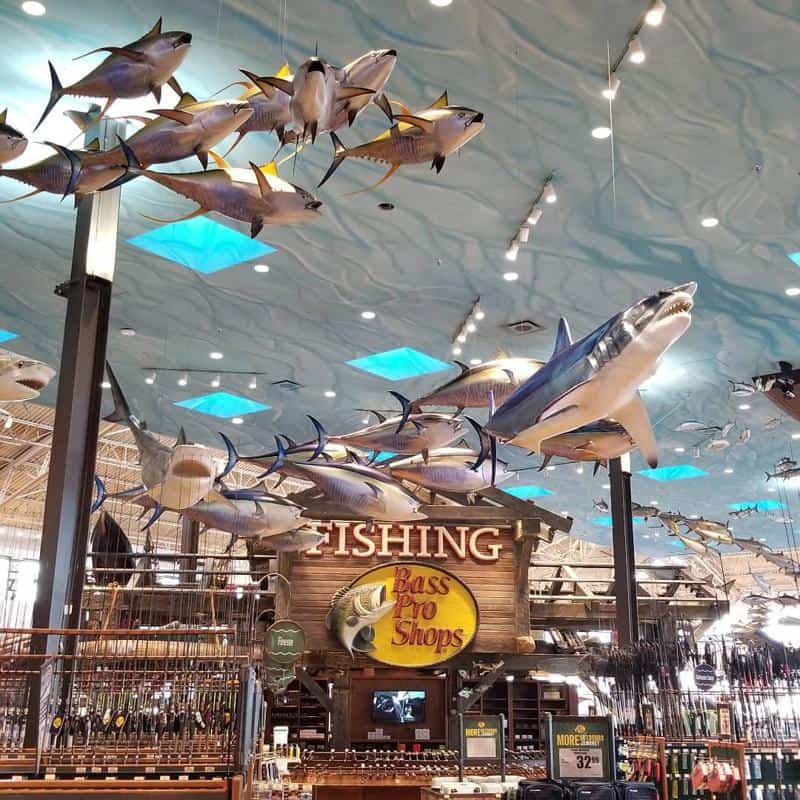 About Bass Pro Shops in Las Vegas 1