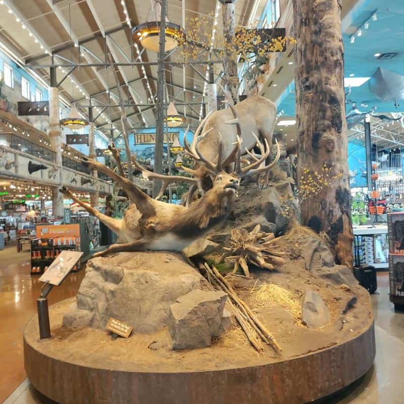 About Bass Pro Shops in Las Vegas 2