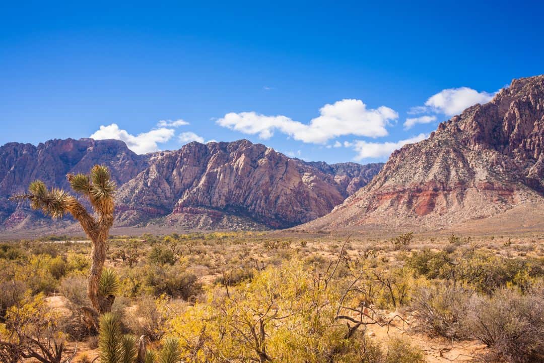 Things To Do Outside Las Vegas